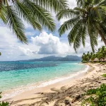 Apia