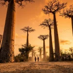 Madagascar