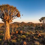 Namibia