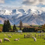 New Zealand